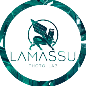 Lamassu_lab Lamassu_lab