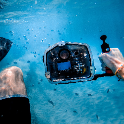 عکاسی زیر آب